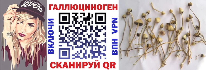 хочу наркоту  Краснослободск  Псилоцибиновые грибы ЛСД 