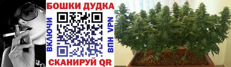 MEGA ссылки  сколько стоит  Краснослободск  Каннабис AK-47 